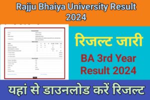 Rajju Bhaiya University BA 3rd Year Result 2024